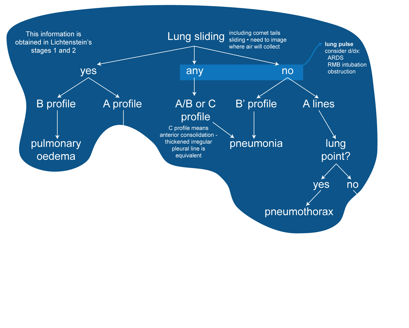 Lung ultrasound and pleural ultrasound